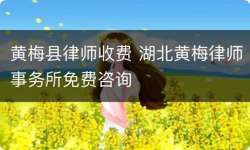 黄梅县律师收费 湖北黄梅律师事务所免费咨询