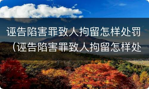 诬告陷害罪致人拘留怎样处罚（诬告陷害罪致人拘留怎样处罚的）