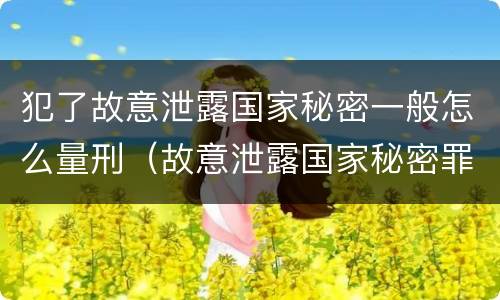 犯了故意泄露国家秘密一般怎么量刑（故意泄露国家秘密罪犯罪构成）