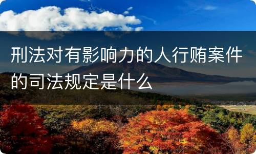 刑法对有影响力的人行贿案件的司法规定是什么