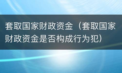 套取国家财政资金（套取国家财政资金是否构成行为犯）