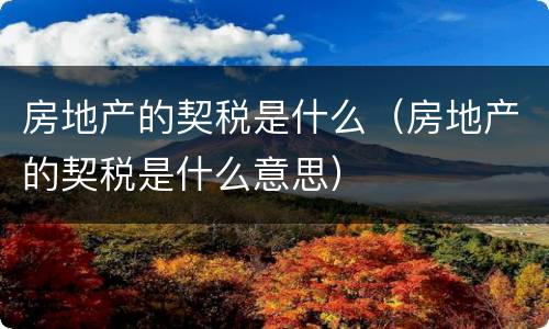 房地产的契税是什么（房地产的契税是什么意思）