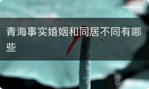 青海事实婚姻和同居不同有哪些