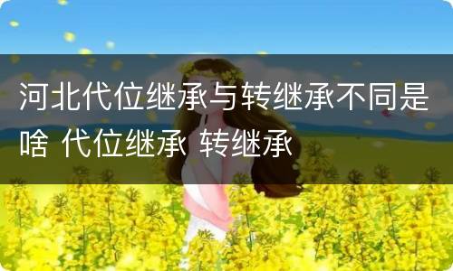 河北代位继承与转继承不同是啥 代位继承 转继承