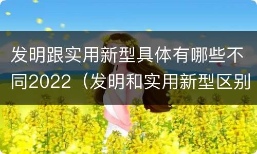 发明跟实用新型具体有哪些不同2022（发明和实用新型区别）
