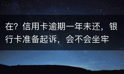 在？信用卡逾期一年未还，银行卡准备起诉，会不会坐牢