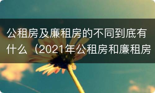 公租房及廉租房的不同到底有什么（2021年公租房和廉租房有什么区别）