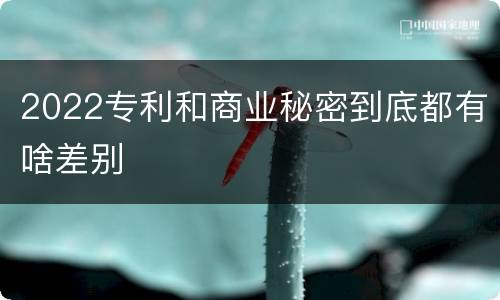 2022专利和商业秘密到底都有啥差别