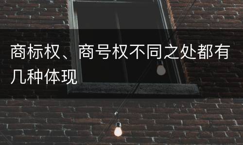 商标权、商号权不同之处都有几种体现