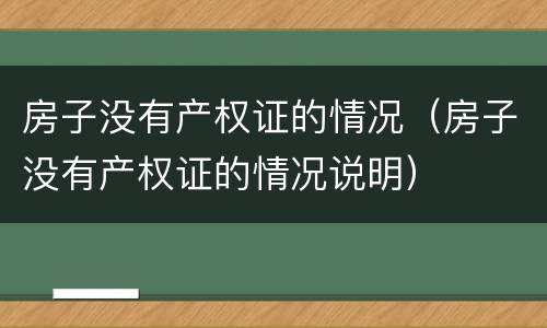 房子没有产权证的情况（房子没有产权证的情况说明）