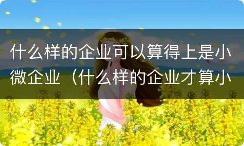 什么样的企业可以算得上是小微企业（什么样的企业才算小微企业）