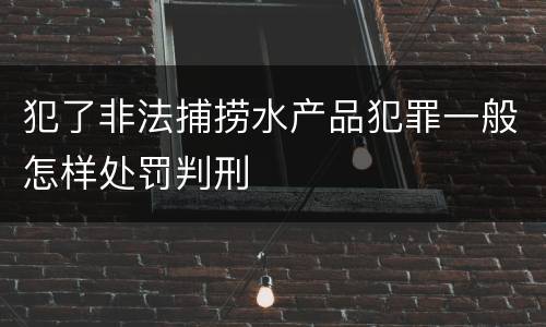 犯了非法捕捞水产品犯罪一般怎样处罚判刑