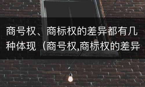 商号权、商标权的差异都有几种体现（商号权,商标权的差异都有几种体现）