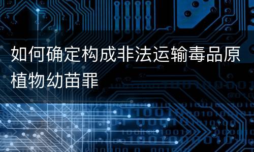 如何确定构成非法运输毒品原植物幼苗罪