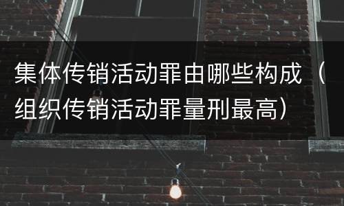 集体传销活动罪由哪些构成（组织传销活动罪量刑最高）
