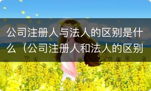 公司注册人与法人的区别是什么（公司注册人和法人的区别）