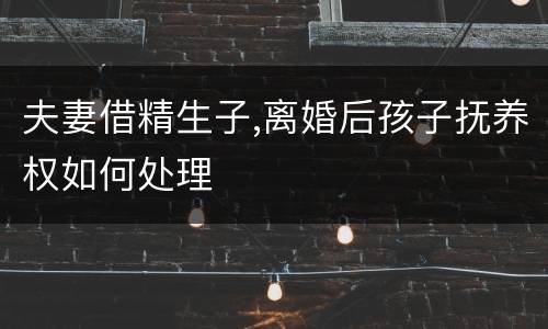 夫妻借精生子,离婚后孩子抚养权如何处理