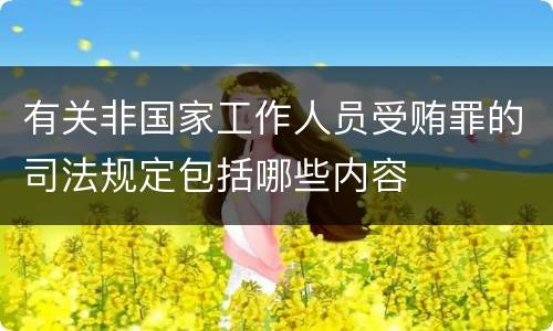 有关非国家工作人员受贿罪的司法规定包括哪些内容