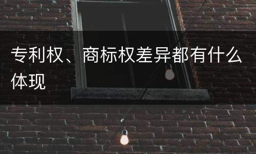 专利权、商标权差异都有什么体现