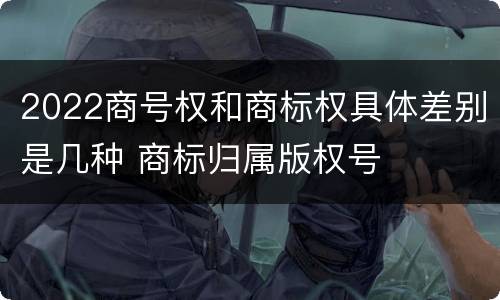 2022商号权和商标权具体差别是几种 商标归属版权号
