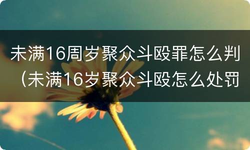 未满16周岁聚众斗殴罪怎么判（未满16岁聚众斗殴怎么处罚）