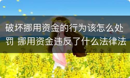 破坏挪用资金的行为该怎么处罚 挪用资金违反了什么法律法规