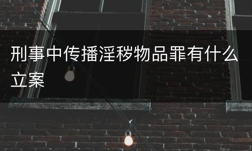 刑事中传播淫秽物品罪有什么立案