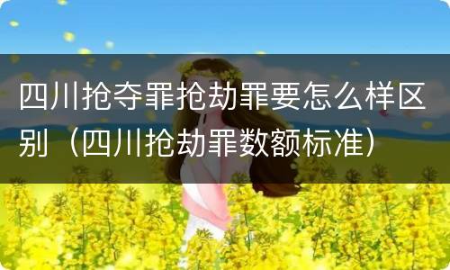 四川抢夺罪抢劫罪要怎么样区别（四川抢劫罪数额标准）