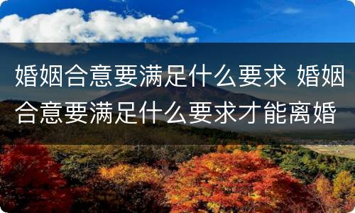婚姻合意要满足什么要求 婚姻合意要满足什么要求才能离婚
