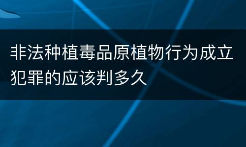 非法种植毒品原植物行为成立犯罪的应该判多久