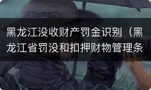 黑龙江没收财产罚金识别（黑龙江省罚没和扣押财物管理条例）