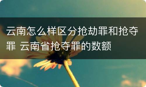 云南怎么样区分抢劫罪和抢夺罪 云南省抢夺罪的数额