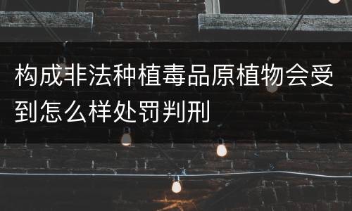 构成非法种植毒品原植物会受到怎么样处罚判刑