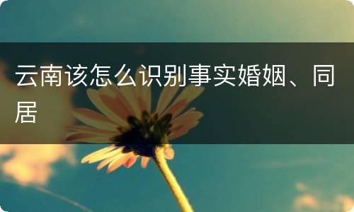 云南该怎么识别事实婚姻、同居