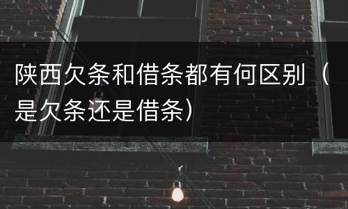 陕西欠条和借条都有何区别（是欠条还是借条）