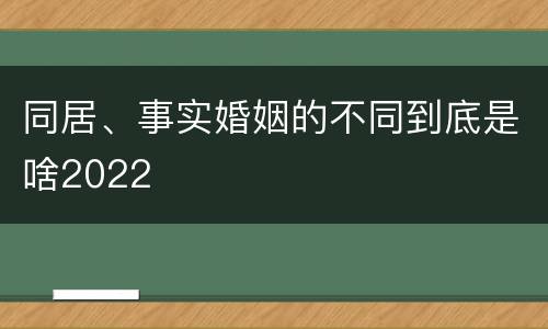 同居、事实婚姻的不同到底是啥2022