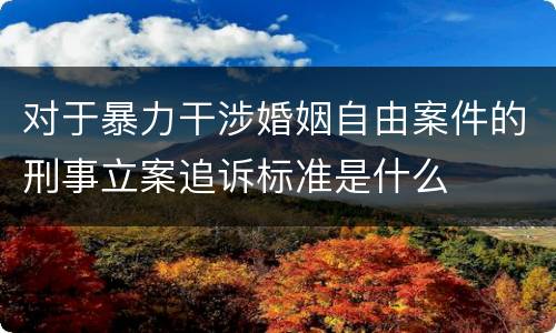 对于暴力干涉婚姻自由案件的刑事立案追诉标准是什么