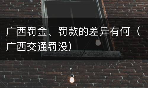 广西罚金、罚款的差异有何（广西交通罚没）