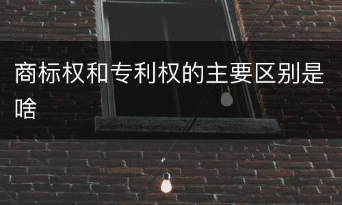 商标权和专利权的主要区别是啥