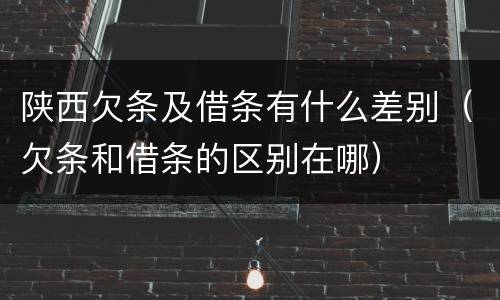 陕西欠条及借条有什么差别（欠条和借条的区别在哪）
