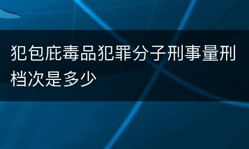 犯包庇毒品犯罪分子刑事量刑档次是多少
