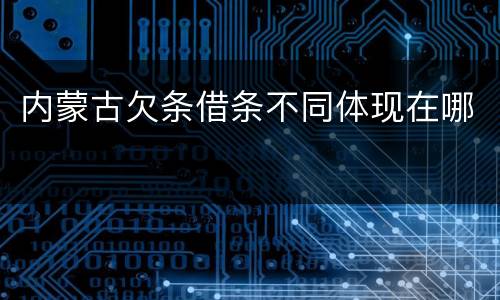 内蒙古欠条借条不同体现在哪