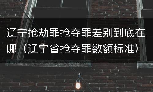 辽宁抢劫罪抢夺罪差别到底在哪（辽宁省抢夺罪数额标准）