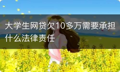大学生网贷欠10多万需要承担什么法律责任