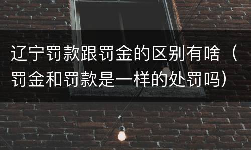 辽宁罚款跟罚金的区别有啥（罚金和罚款是一样的处罚吗）