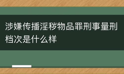 涉嫌传播淫秽物品罪刑事量刑档次是什么样