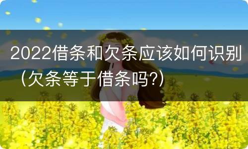 2022借条和欠条应该如何识别（欠条等于借条吗?）