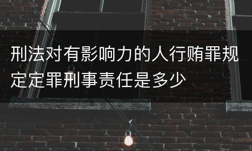 刑法对有影响力的人行贿罪规定定罪刑事责任是多少
