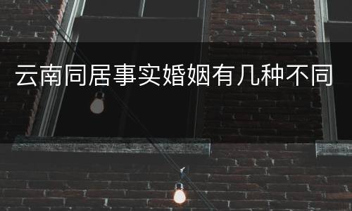 云南同居事实婚姻有几种不同