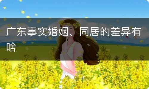 广东事实婚姻、同居的差异有啥